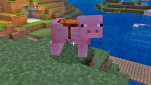 Siodło w Minecraft