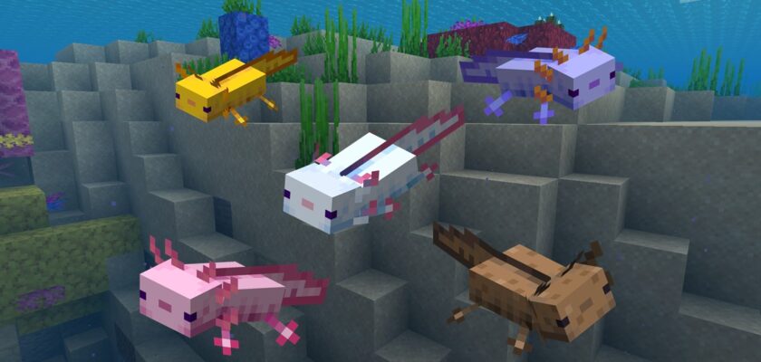Axolotl Minecraft. Co jedzą aksolotle w Minecraft?